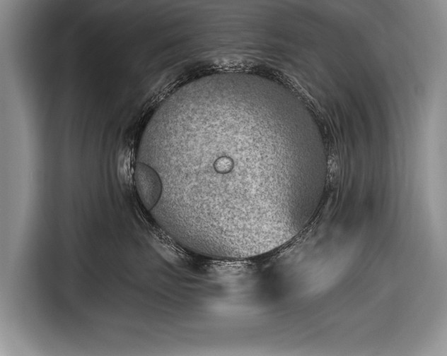 X0000116650671200912211448