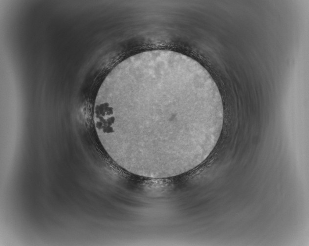 X0000116650672200912211448
