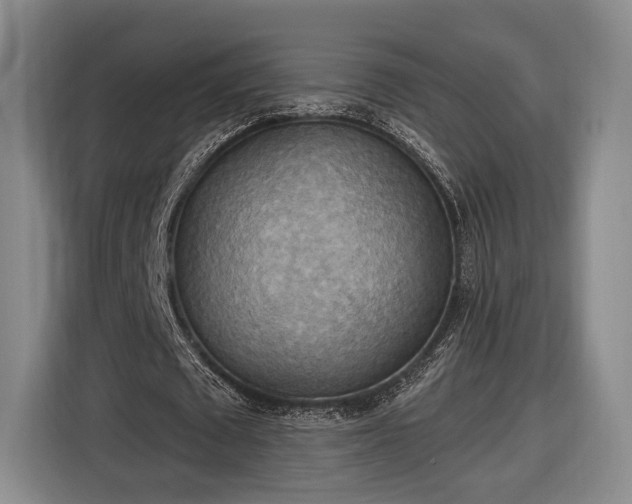 X0000116650673200912211448