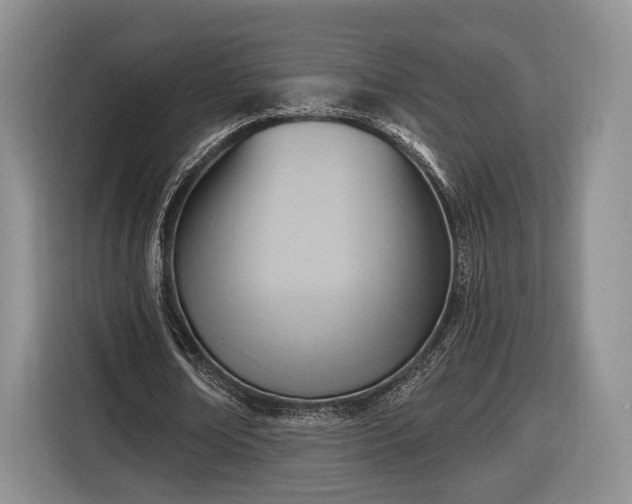 X0000116650674200912211448