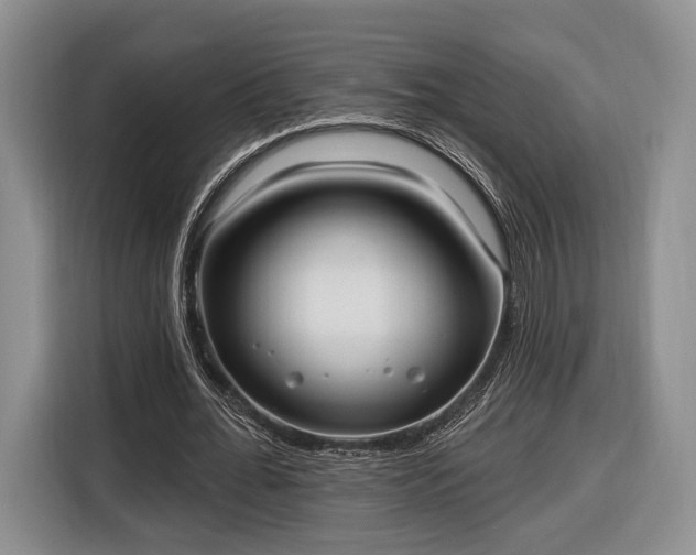 X0000116650676200912211448