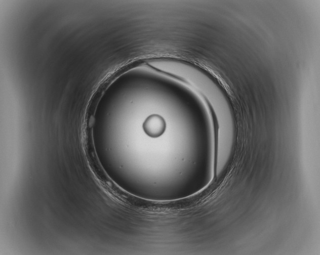 X0000116650677200912211448