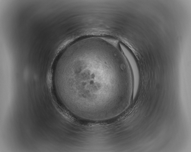 X0000116650679200912211447