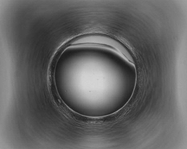 X0000116650680200912211447