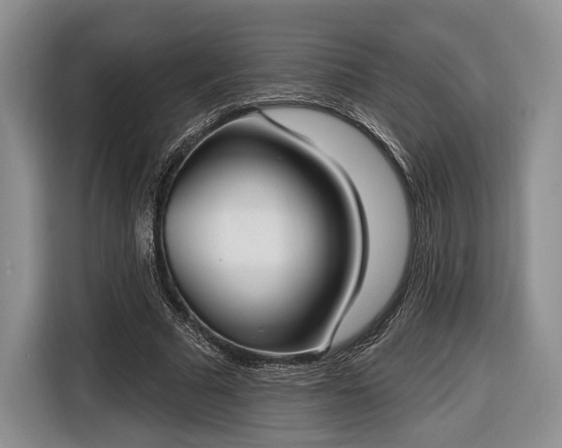 X0000116650681200912211447