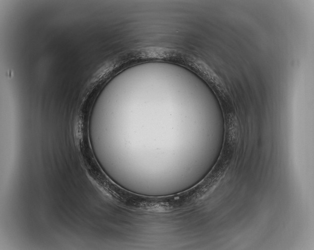 X0000116650683200912211447