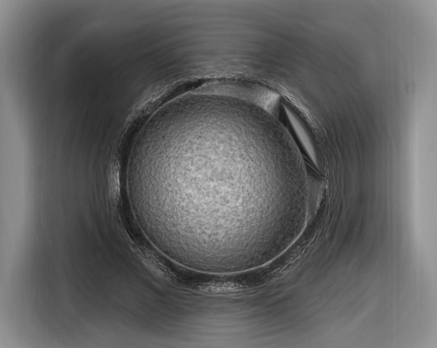 X0000116650685200912211447