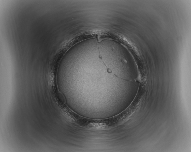 X0000116650689200912211447