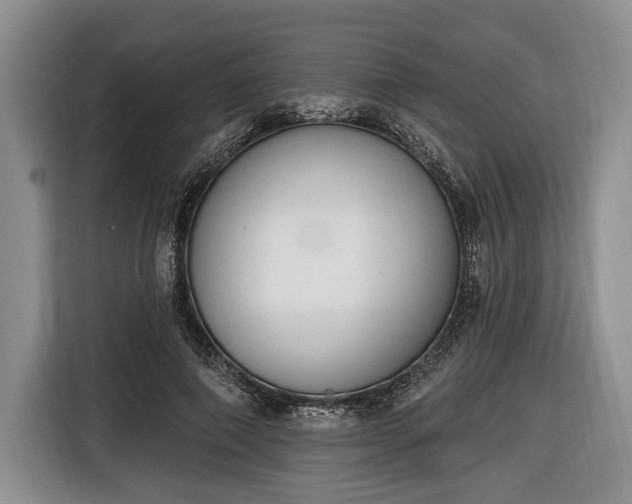 X0000116650690200912211447
