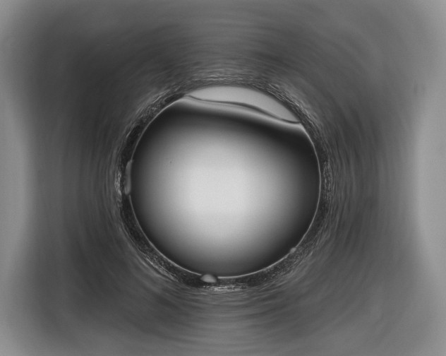 X0000116650692200912211447