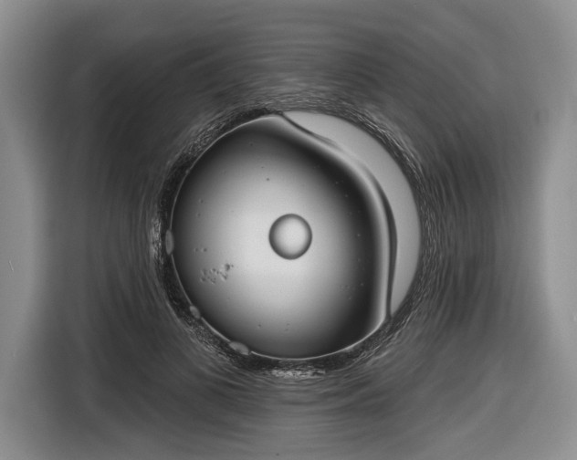 X0000116650693200912211447