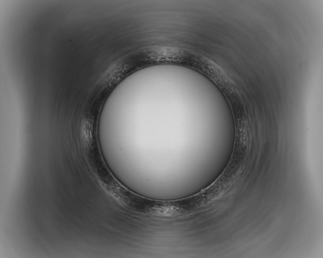 X0000116650695200912211447