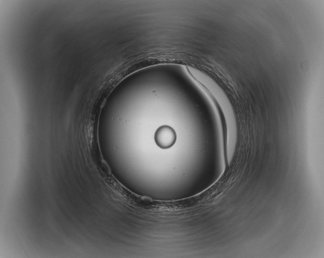 X0000116650697200912211447