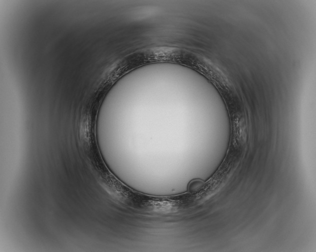 X0000116650698200912211447