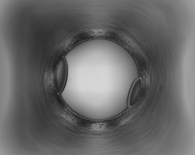 X0000116650700200912211447