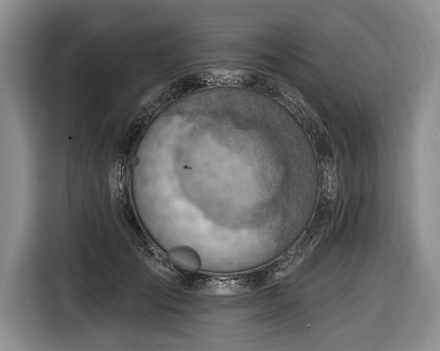 X0000116650701200912211447