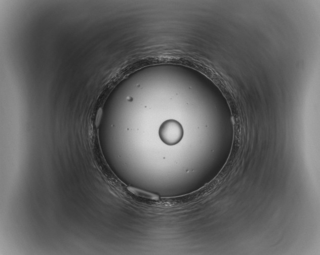 X0000116650704200912211447
