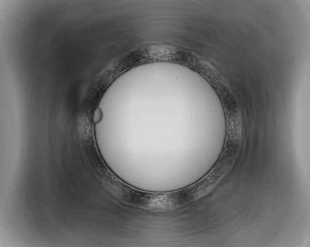 X0000116650705200912211447