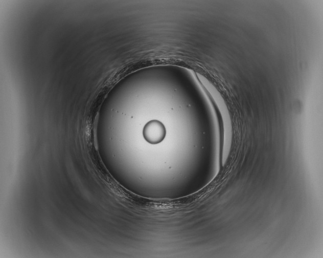 X0000116650709200912211447