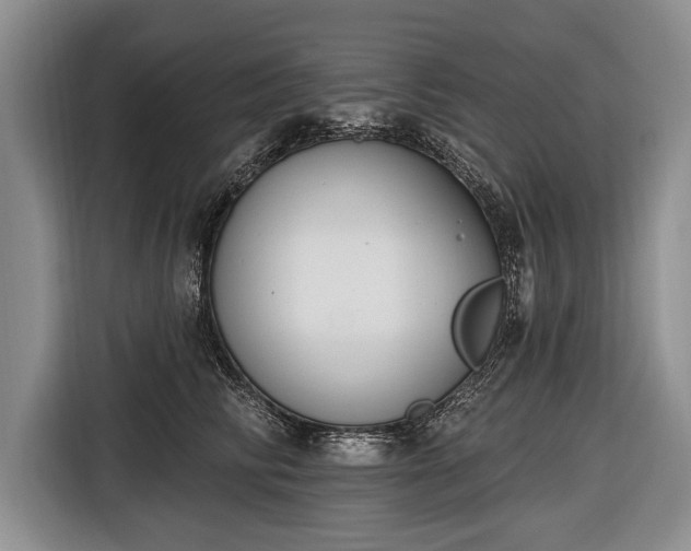 X0000116650710200912211447