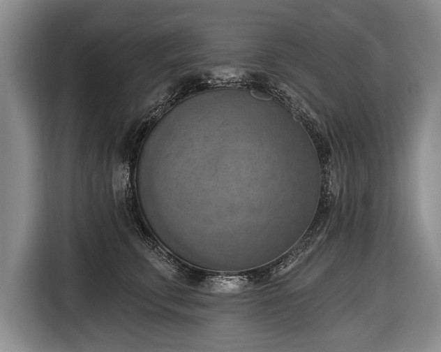 X0000116650711200912211447