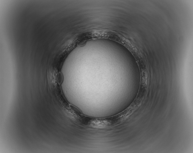 X0000116650712200912211447