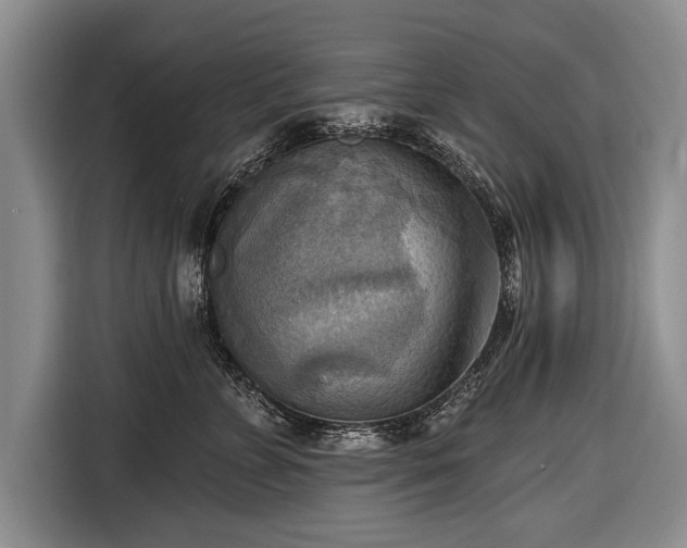 X0000116650715200912211447