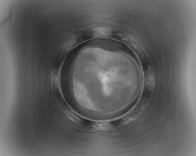 X0000116650716200912211447