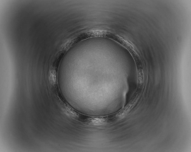 X0000116650718200912211447