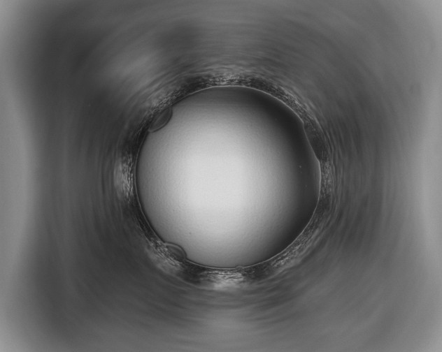X0000116650719200912211447