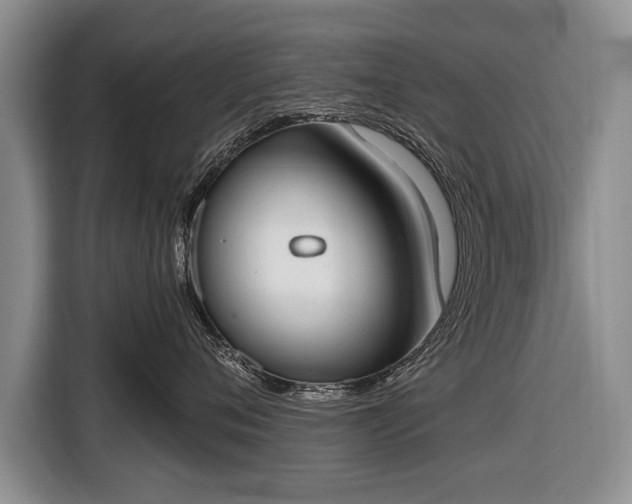 X0000116650720200912211447