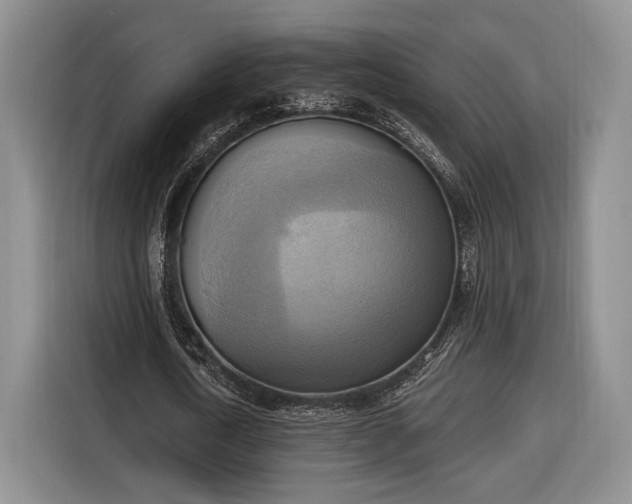 X0000116650722200912211446