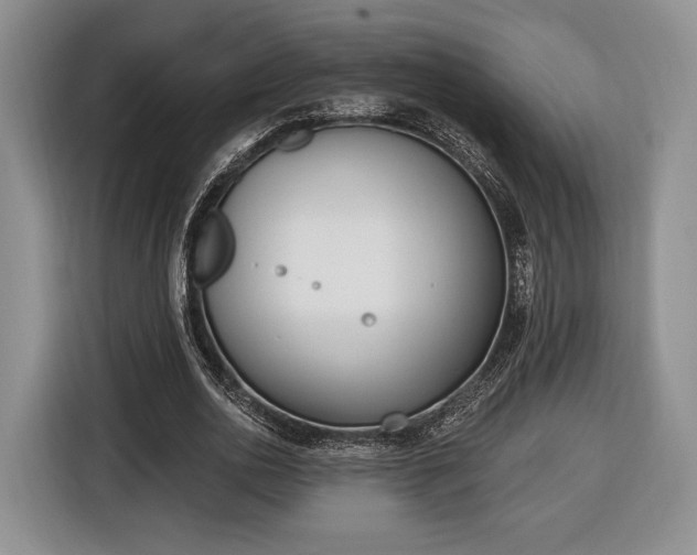 X0000116650726200912211446