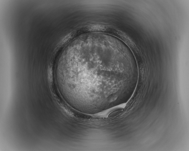 X0000116650729200912211446
