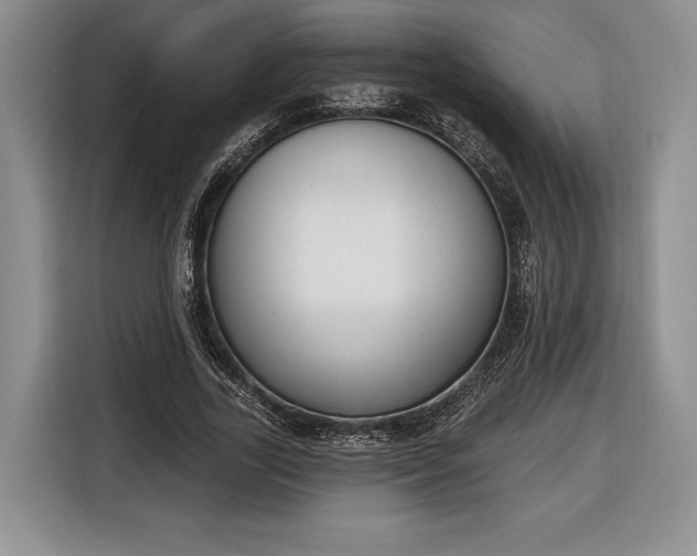 X0000116650731200912211446