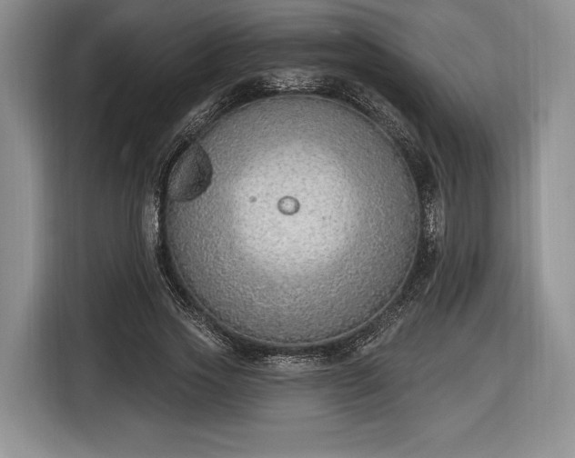 X0000116650733200912211446