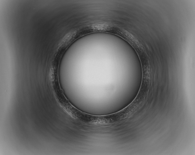 X0000116650738200912211447