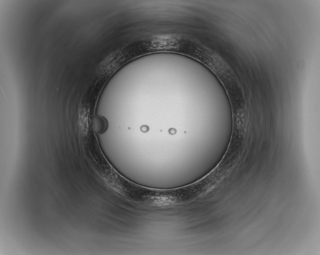 X0000116650741200912211447