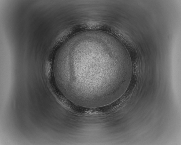 X0000116650742200912211447