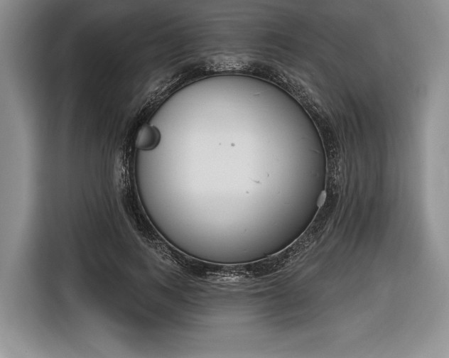 X0000116650743200912211447
