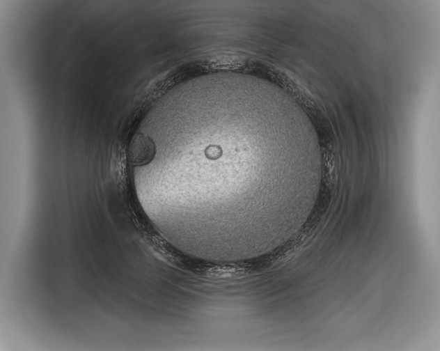 X0000116650745200912211447