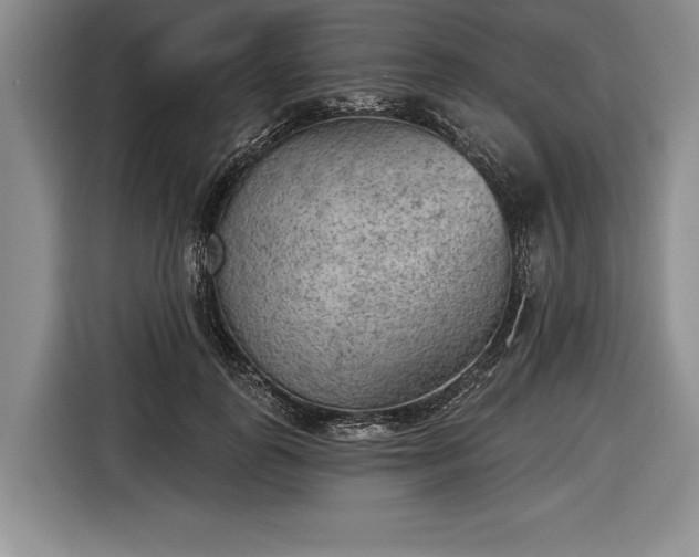 X0000116650747200912211447