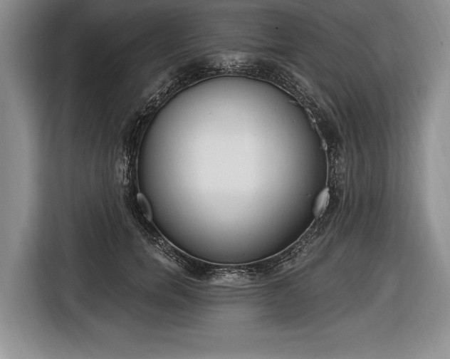 X0000116650750200912211447