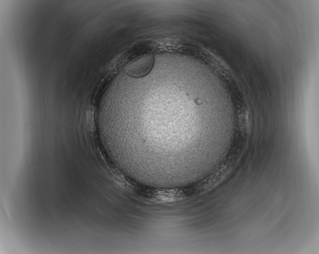 X0000116650757200912211447