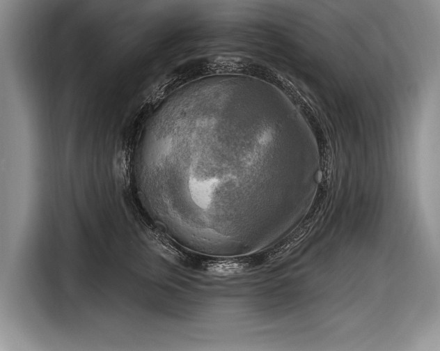 X0000116650759200912211447