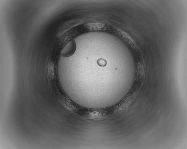 X0000116650761200912211447