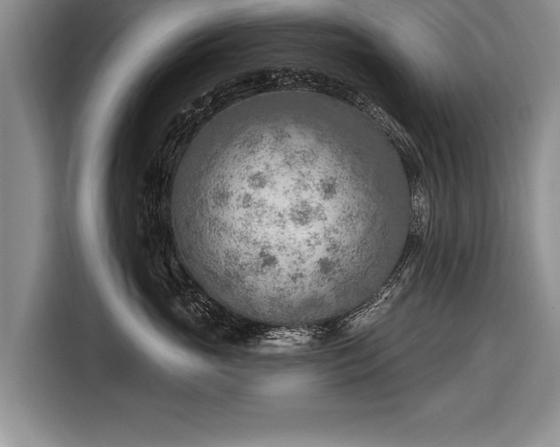 X0000116650765200912211447