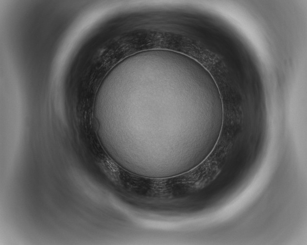 X0000116650766200912211447
