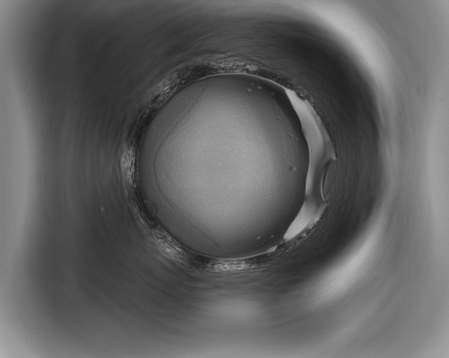 X0000116650767200912211447