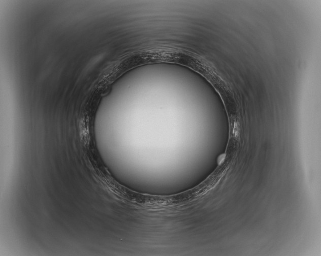 X0000116650771200912211446